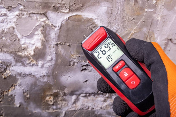 Best Home Mold Removal  in Highlands Ranch, CO