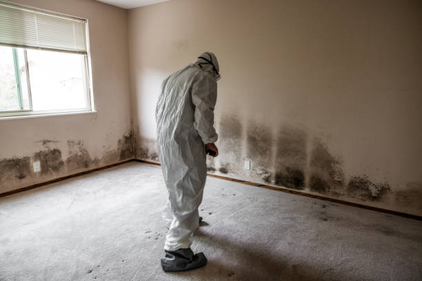 Best Mold Testing  in Highlands Ranch, CO